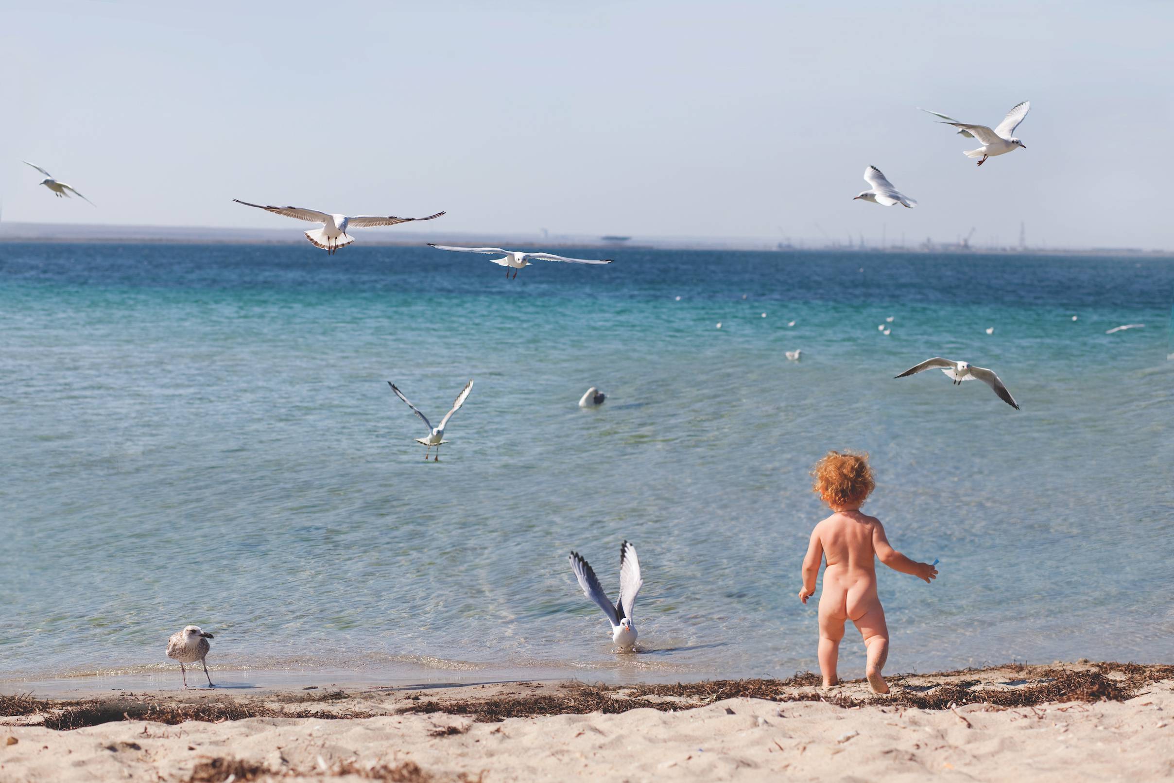 בעד פטמת הזכוכית