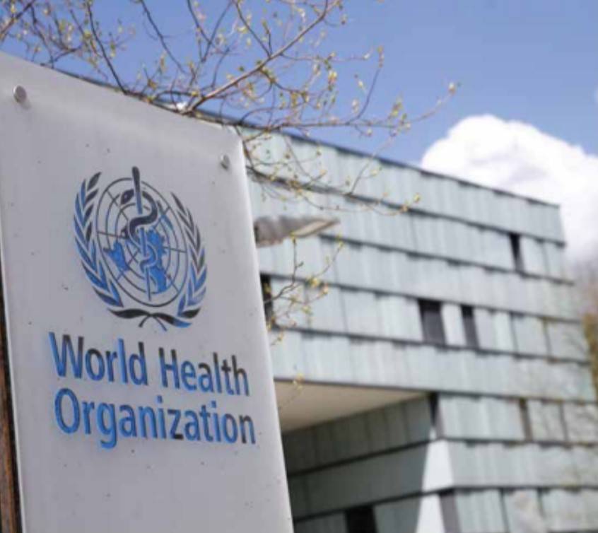 חזירים כמשל