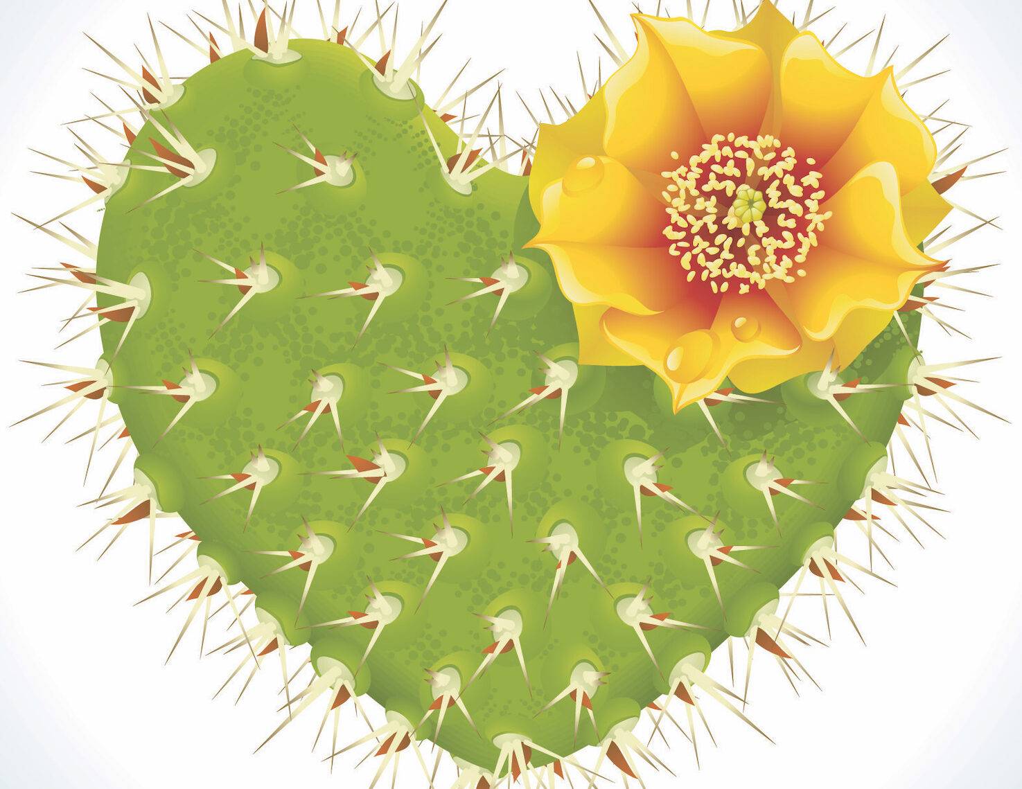 כשהפה שותק, הפות מדברת