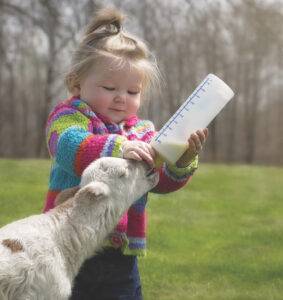 חג לבן שחור