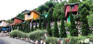 מכולה מכל הלב