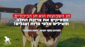 שתיקת הכבשים