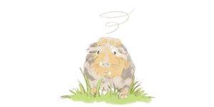 סוף העולם שמאלה