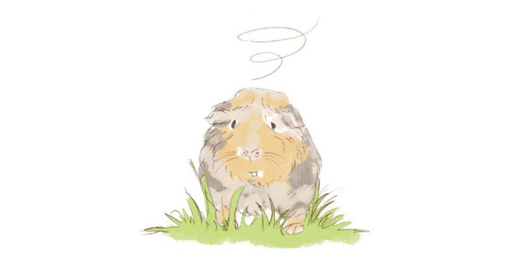 סוף העולם שמאלה