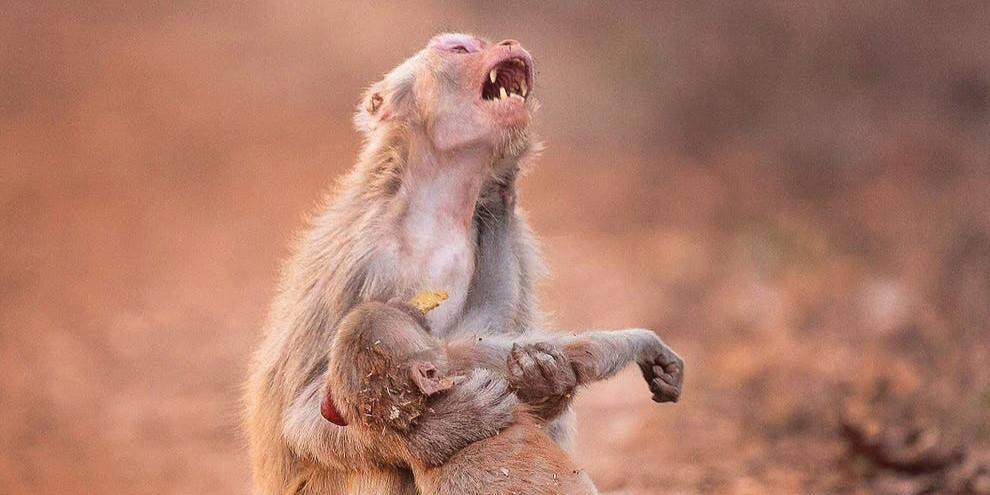 לחבק תינוק מת