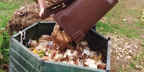 מפריחים את השכונה