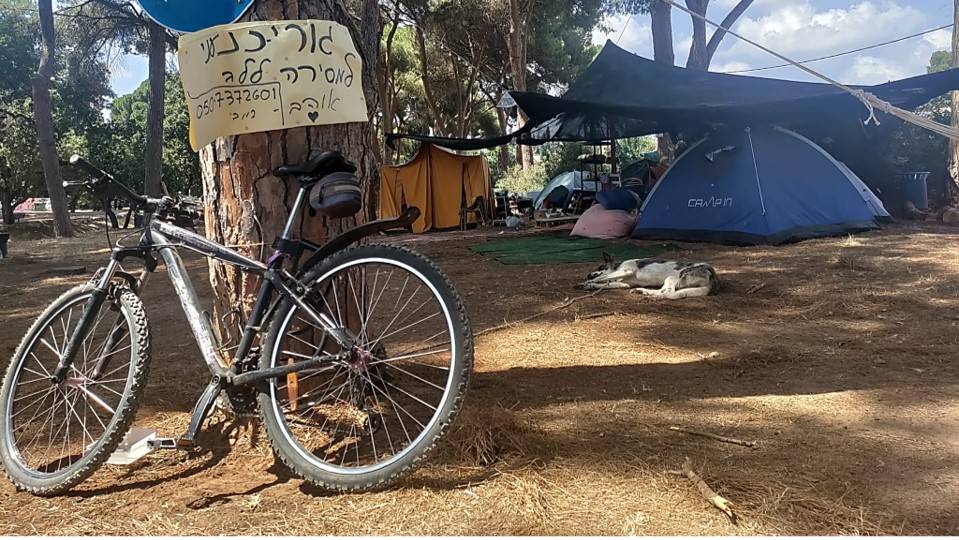 המחאה שהתאדתה