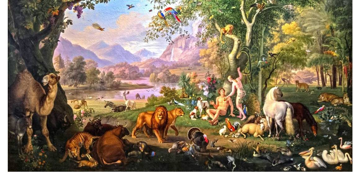 עטוף ברחמים