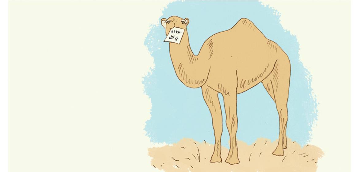 גמלים ובחירות