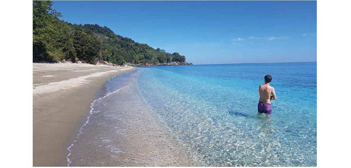 המתייוונים החדשים