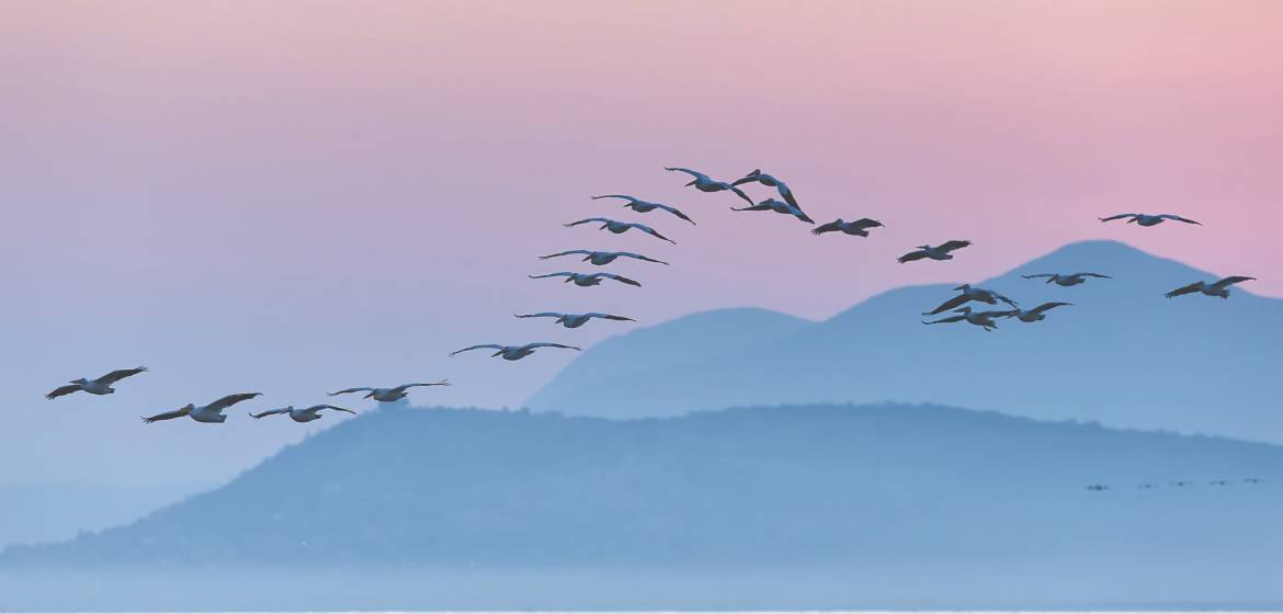 היה לי פעם חבר שקנאי