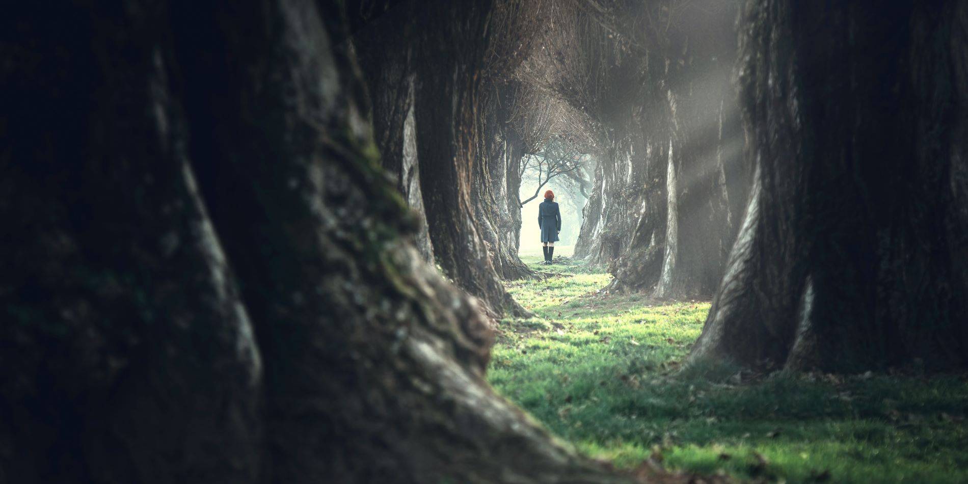 אישה הולכת לבד ביער