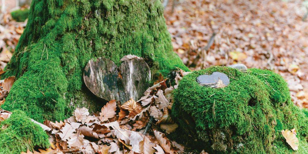 כי האדם עץ השדה