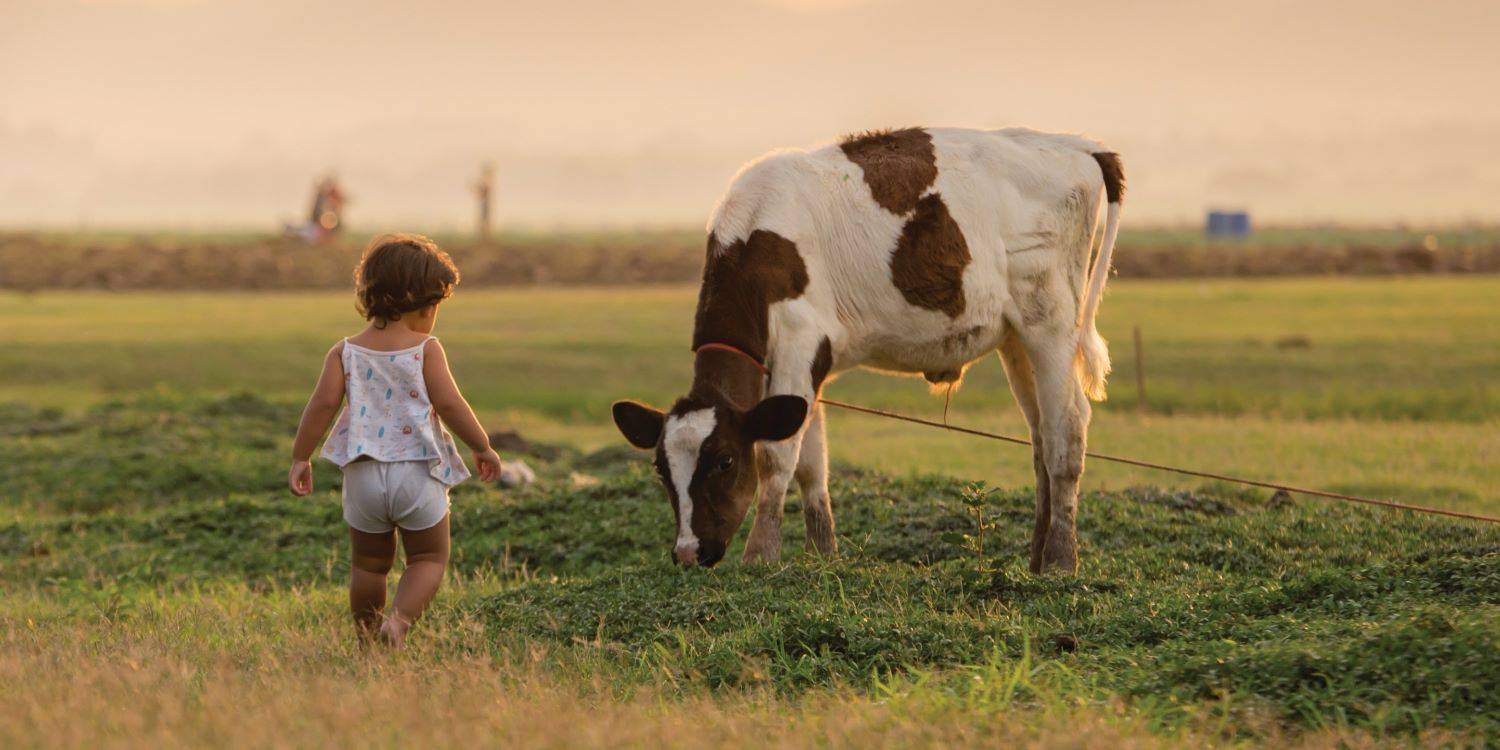 אוהבת חיות, ואוכלת אותן