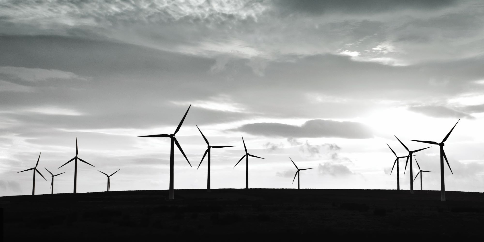 "אין לנו בעיה למות בשביל האדמה, אנחנו מאמינים בגלגול נשמות"