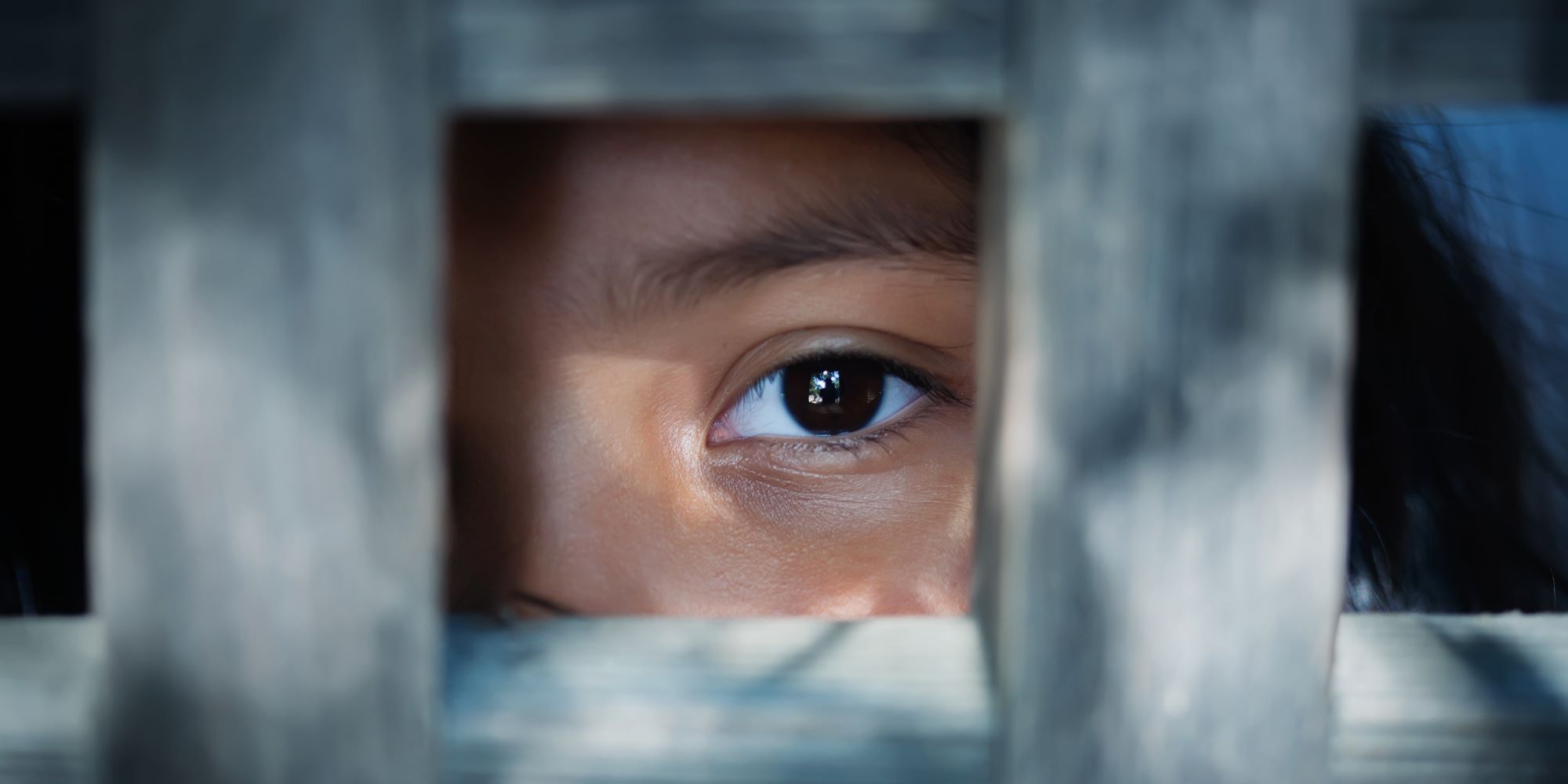 "יותר פשוט לקרוא לנו משוגעות"