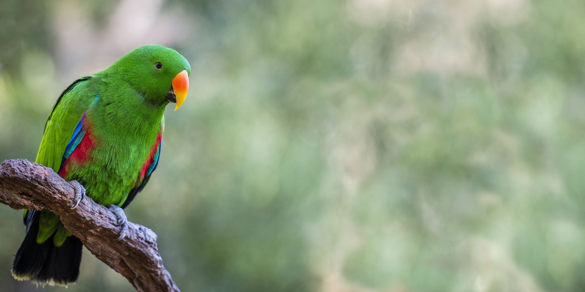 לצלול עמוק – ולחזור לנשום