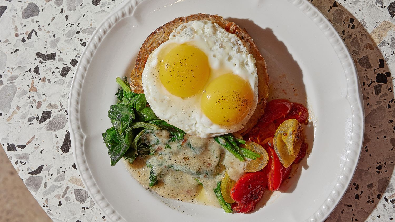 הדב כבר לא בטוב