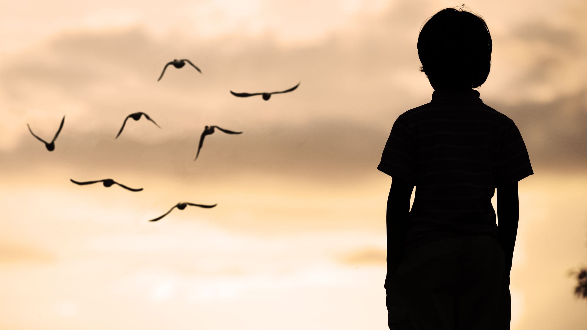 המבוגרים לא יבואו להציל אותנו