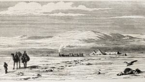 מתפלח עם פלאחים