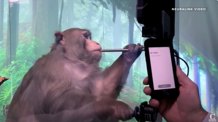 הניתוח הצליח, מצב החולה לא מעניין