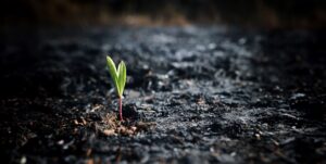 מיומנה של בלתי מפונה