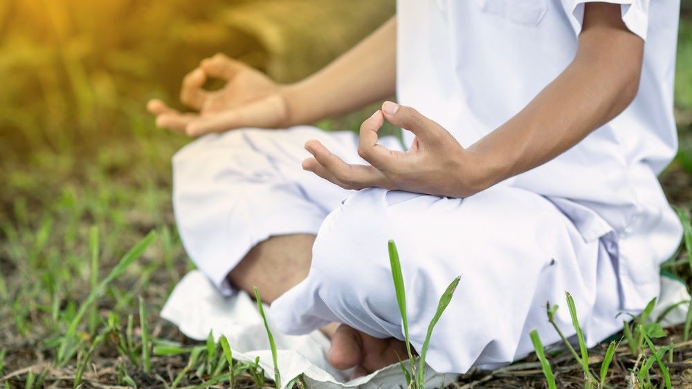 יצאתי לוויפאסנה, חזרתי מואר?