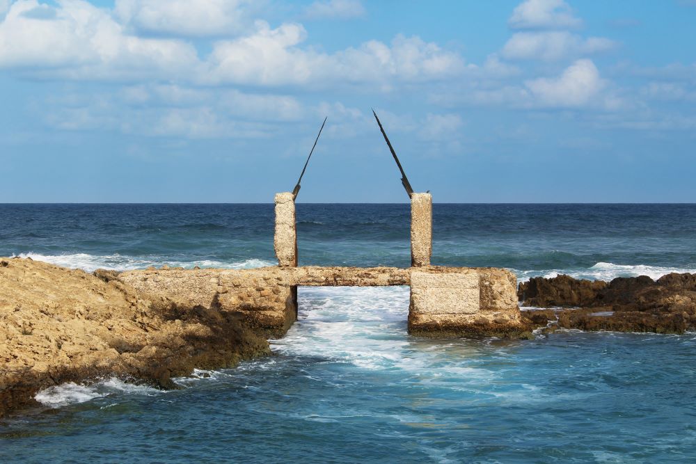 באבאג'י בנווה ים