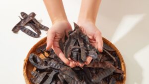 עטור מצחך זהב שחור