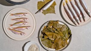 דוב טוב הכל טוב