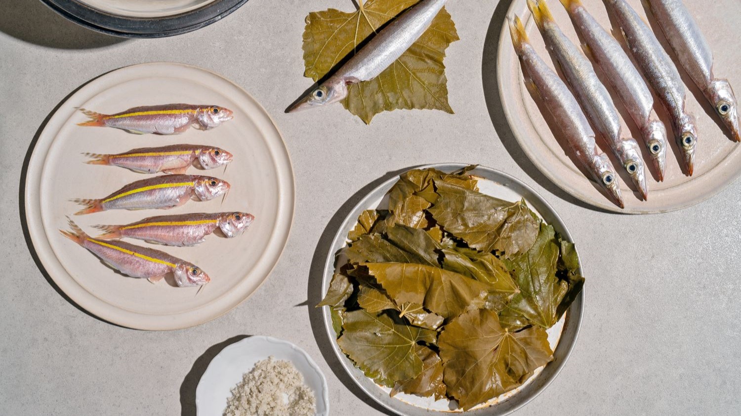 דוב טוב הכל טוב